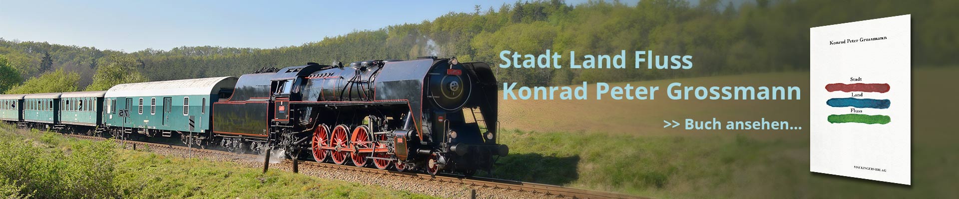 Bali – Hinter der Fassade - Buch von Thomas Moog erschienen im MAckinger Verlag Salzburg